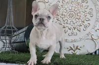 processed/2ec23490-a4c8-4f9d-985a-0c88d05b5b51/listing/038b8243-9f1e-4f72-aa6c-cd97142a119f/cd7309d2-2717-4365-b501-c1eadd38910c