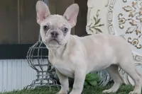 processed/2ec23490-a4c8-4f9d-985a-0c88d05b5b51/listing/038b8243-9f1e-4f72-aa6c-cd97142a119f/dd6f2b8e-5f0d-4296-84d8-7454ac000745