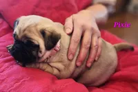 processed/2ec337d0-9616-4245-9a9b-33fade9ba2cb/listing/14240c3f-5700-4a78-92a4-ba6bbb47a576/27ac2d58-878b-46e1-9193-03d0bcf40a10