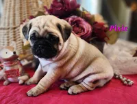 processed/2ec337d0-9616-4245-9a9b-33fade9ba2cb/listing/14240c3f-5700-4a78-92a4-ba6bbb47a576/658fb825-f003-4478-9e7e-adb827e98850