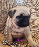 processed/2ec337d0-9616-4245-9a9b-33fade9ba2cb/listing/14240c3f-5700-4a78-92a4-ba6bbb47a576/c363a50d-1248-4db1-9c6b-52584dff94ca