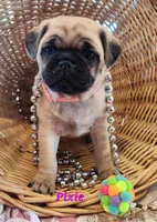 processed/2ec337d0-9616-4245-9a9b-33fade9ba2cb/listing/14240c3f-5700-4a78-92a4-ba6bbb47a576/de4d8952-1557-4bdf-a61d-b7d2d9c4574f