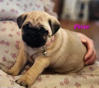 processed/2ec337d0-9616-4245-9a9b-33fade9ba2cb/listing/14240c3f-5700-4a78-92a4-ba6bbb47a576/f911c009-fd31-4e7a-ba3d-31c4cc136137