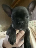 processed/2ecfbd97-3a91-48ca-99b9-939a9c6d17ed/listing/f4924cc6-c3d4-4a39-8a1c-60bf0a993952/83805000-4ec2-4bb2-83c1-d994e2bf22ae