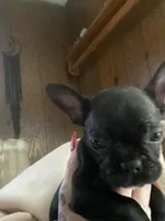 processed/2ecfbd97-3a91-48ca-99b9-939a9c6d17ed/listing/f4924cc6-c3d4-4a39-8a1c-60bf0a993952/b8f3d298-c3e9-4343-a559-52fd3bc20ee6