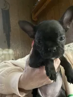 processed/2ecfbd97-3a91-48ca-99b9-939a9c6d17ed/listing/f4924cc6-c3d4-4a39-8a1c-60bf0a993952/ee9e197c-5072-4b39-8257-401d969c6642