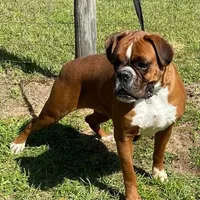 processed/2ed7e969-7f29-4176-92df-ba01a094465a/facility/21b64a5b-9b46-4ad1-b723-d419cb541f0f