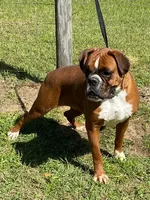 processed/2ed7e969-7f29-4176-92df-ba01a094465a/facility/21b64a5b-9b46-4ad1-b723-d419cb541f0f