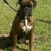 processed/2ed7e969-7f29-4176-92df-ba01a094465a/facility/44a839b8-ecb0-4987-baa0-280eebf34282