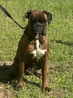 processed/2ed7e969-7f29-4176-92df-ba01a094465a/facility/44a839b8-ecb0-4987-baa0-280eebf34282