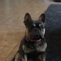 processed/2ed7e969-7f29-4176-92df-ba01a094465a/facility/54c59a57-f77e-4e91-8832-0e5455841905