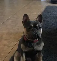 processed/2ed7e969-7f29-4176-92df-ba01a094465a/facility/54c59a57-f77e-4e91-8832-0e5455841905