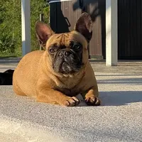 processed/2ed7e969-7f29-4176-92df-ba01a094465a/facility/809c57d9-47df-499c-9966-8949be365120