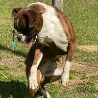 processed/2ed7e969-7f29-4176-92df-ba01a094465a/facility/a5595549-9284-4769-b558-320225516cd4