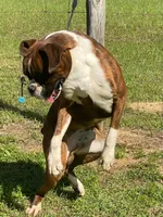 processed/2ed7e969-7f29-4176-92df-ba01a094465a/facility/a5595549-9284-4769-b558-320225516cd4