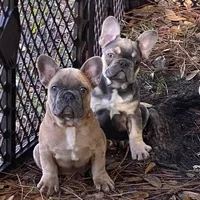 processed/2ed7e969-7f29-4176-92df-ba01a094465a/facility/ca168351-7b7d-449f-bbed-e68b38ed7d57