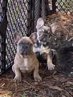 processed/2ed7e969-7f29-4176-92df-ba01a094465a/facility/ca168351-7b7d-449f-bbed-e68b38ed7d57