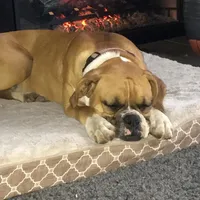 processed/2ed7e969-7f29-4176-92df-ba01a094465a/facility/cdf8f150-758a-4ecd-9d1d-dbe80d6c2fa0