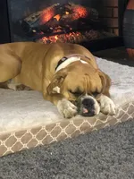 processed/2ed7e969-7f29-4176-92df-ba01a094465a/facility/cdf8f150-758a-4ecd-9d1d-dbe80d6c2fa0