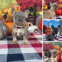 processed/2ed7e969-7f29-4176-92df-ba01a094465a/facility/e09fa944-5ab2-4921-9125-8ae4fc58a2d4