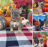 processed/2ed7e969-7f29-4176-92df-ba01a094465a/facility/e09fa944-5ab2-4921-9125-8ae4fc58a2d4