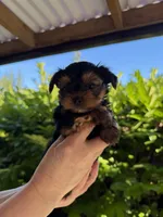 processed/2ee46584-c829-4aed-bc32-e4d8f77e04d0/listing/16a28e25-f476-4d34-a927-b27599fac1ca/30789610-aad1-4b76-b176-a0a1d6464f69