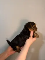 processed/2ee46584-c829-4aed-bc32-e4d8f77e04d0/listing/16a28e25-f476-4d34-a927-b27599fac1ca/4318f0ae-d558-48b1-a0be-11b2a34b0423