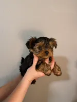 processed/2ee46584-c829-4aed-bc32-e4d8f77e04d0/listing/16a28e25-f476-4d34-a927-b27599fac1ca/76f74191-e9b2-41e2-a560-6242df9ec104