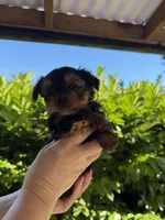 processed/2ee46584-c829-4aed-bc32-e4d8f77e04d0/listing/16a28e25-f476-4d34-a927-b27599fac1ca/84d2038a-4c34-4c70-98df-00d1ab99310f