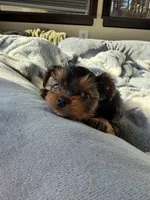 processed/2ee46584-c829-4aed-bc32-e4d8f77e04d0/listing/16a28e25-f476-4d34-a927-b27599fac1ca/8e7c6f19-4c3e-458a-b4b5-d339d670a3ea