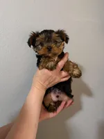 processed/2ee46584-c829-4aed-bc32-e4d8f77e04d0/listing/16a28e25-f476-4d34-a927-b27599fac1ca/d522e02e-f68a-4daf-b3bd-baf0a13fafbc