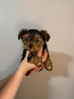 processed/2ee46584-c829-4aed-bc32-e4d8f77e04d0/listing/16a28e25-f476-4d34-a927-b27599fac1ca/e0704ef5-1e6b-4626-9e52-d40943e9ab2e