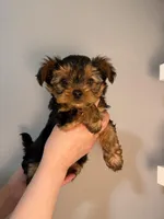 processed/2ee46584-c829-4aed-bc32-e4d8f77e04d0/listing/16a28e25-f476-4d34-a927-b27599fac1ca/f56710ae-744f-461c-906a-7334cbfeb2c5