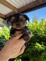 processed/2ee46584-c829-4aed-bc32-e4d8f77e04d0/listing/16a28e25-f476-4d34-a927-b27599fac1ca/f81d399b-694b-405c-b3c9-2ab2af95ae7f