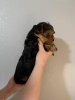 processed/2ee46584-c829-4aed-bc32-e4d8f77e04d0/listing/79f1ec97-a848-427f-a480-fed8e446c5ed/4247a4bd-9bc0-4b91-b298-484b9fcf2306