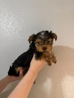 processed/2ee46584-c829-4aed-bc32-e4d8f77e04d0/listing/79f1ec97-a848-427f-a480-fed8e446c5ed/87377cd0-bd2c-4a14-a2e6-ef78513ae776