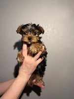 processed/2ee46584-c829-4aed-bc32-e4d8f77e04d0/listing/79f1ec97-a848-427f-a480-fed8e446c5ed/9cbca4ef-c07f-4508-b4c4-bf54b7907c22