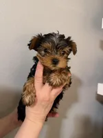 processed/2ee46584-c829-4aed-bc32-e4d8f77e04d0/listing/79f1ec97-a848-427f-a480-fed8e446c5ed/c4928136-ab19-4fa8-bb7f-4cd35ffaec18