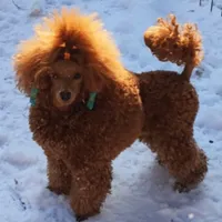 processed/2ee994a8-0239-42a7-8e14-51960aff5399/facility/0d3604c9-b933-4db4-aaee-9355202129a9