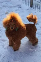 processed/2ee994a8-0239-42a7-8e14-51960aff5399/facility/0d3604c9-b933-4db4-aaee-9355202129a9