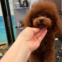 processed/2ee994a8-0239-42a7-8e14-51960aff5399/facility/35e5f69f-d108-4edc-9bfa-e4f9c503e699