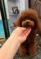 processed/2ee994a8-0239-42a7-8e14-51960aff5399/facility/35e5f69f-d108-4edc-9bfa-e4f9c503e699