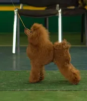 processed/2ee994a8-0239-42a7-8e14-51960aff5399/facility/a2c91234-d298-4e06-8267-7b08f19bddbe