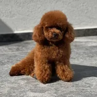 processed/2ee994a8-0239-42a7-8e14-51960aff5399/facility/f2651d90-7283-4525-8474-48d6f935b04e