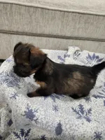 processed/2eee281c-38ae-41f2-863a-49b95f9ac7da/listing/0de42188-e3c6-45ae-a9b1-74529b5f9abc/2ae5a980-77e2-44c8-8b21-25ec22a1c44f