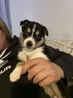 processed/2eee281c-38ae-41f2-863a-49b95f9ac7da/listing/1536cda4-4712-4c55-9817-e41fb6d536ce/2a69ddf7-71a9-4e2e-9182-98f880dc812e