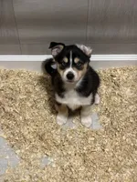 processed/2eee281c-38ae-41f2-863a-49b95f9ac7da/listing/1536cda4-4712-4c55-9817-e41fb6d536ce/37896395-e49c-4f6a-8442-60a4c8853682