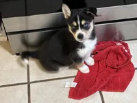 processed/2eee281c-38ae-41f2-863a-49b95f9ac7da/listing/1536cda4-4712-4c55-9817-e41fb6d536ce/3f6124f7-8d27-4de8-ab38-a26a3f8c4db4