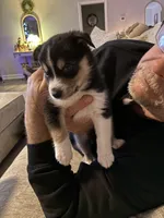 processed/2eee281c-38ae-41f2-863a-49b95f9ac7da/listing/1536cda4-4712-4c55-9817-e41fb6d536ce/aa1bd420-a206-4560-ad07-15ceb67fa209