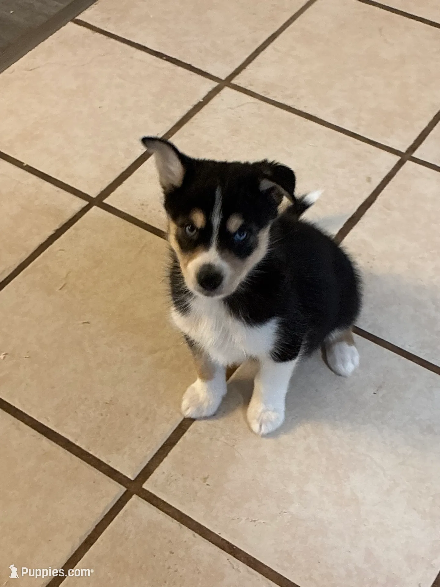 processed/2eee281c-38ae-41f2-863a-49b95f9ac7da/listing/1536cda4-4712-4c55-9817-e41fb6d536ce/b5e158c7-972e-4c84-bb87-95c2107c37e8